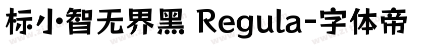 标小智无界黑 Regula字体转换